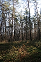 Rostoczek 11.2008 379
